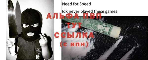 молекула духа Верхний Тагил
