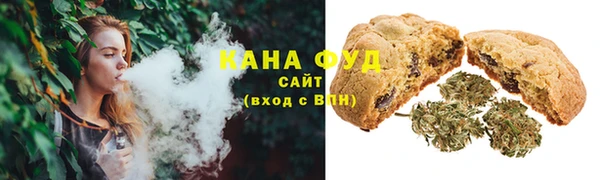 молекула духа Верхний Тагил
