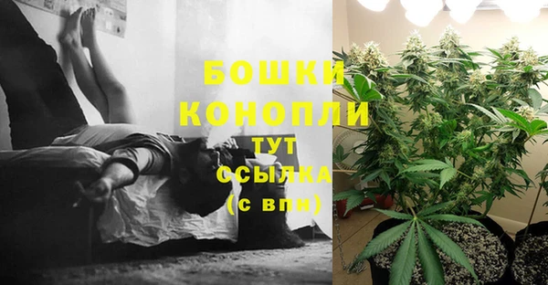 молекула духа Володарск