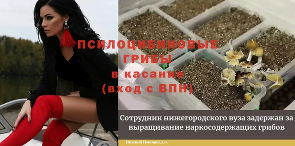 молекула духа Верхний Тагил